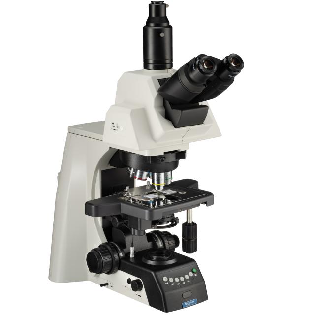 Nexcope NE930 verticale Microscoop