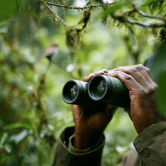 gids voor het kiezen van verrekijkers