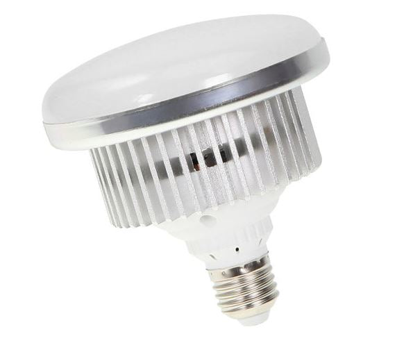 BRESSER BR-LB2 LED Lamp E27/12W (correspondeert met conventionele 65W gloeilamp) 5500K