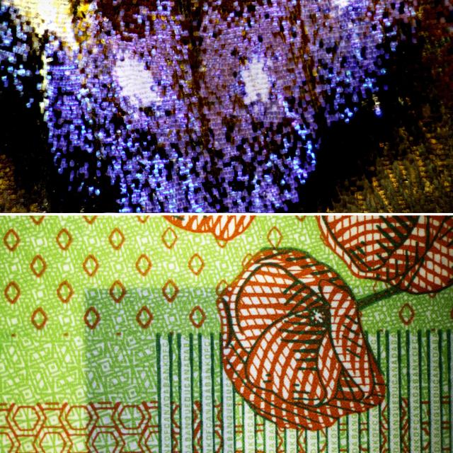 Microscopen f5806300