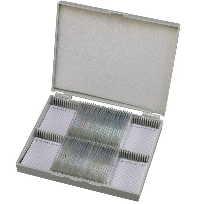 BRESSER Microscoop preparaten 30 stuks - Mens