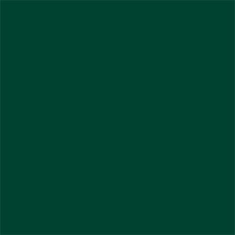 Superior achtergrondpapier 12 deep green 2 72 x 11m full