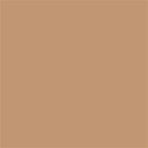 Superior achtergrondpapier 25 beige 1 35 x 11m full