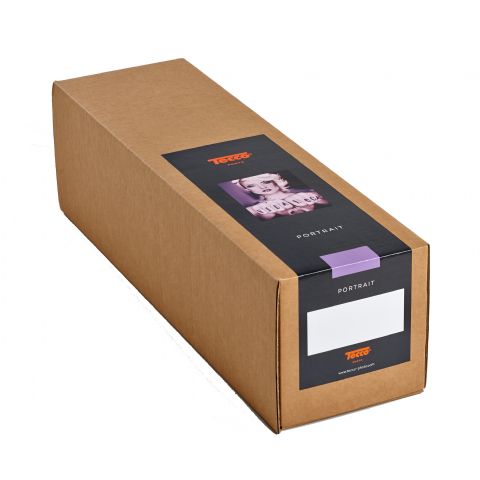 Tecco inkjet paper premium silk raster psr290 32 9 cm x 25 m full tecco